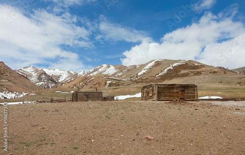 The traditional winter camp livestock