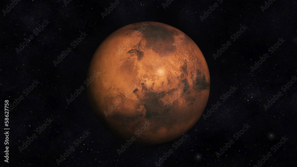 Fototapeta premium Marsz