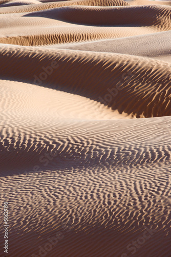 Paysage de dunes, Grand erg oriental, Tunisie © Delphotostock