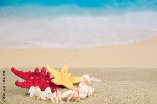 Necklace and starfishes on the sea coast