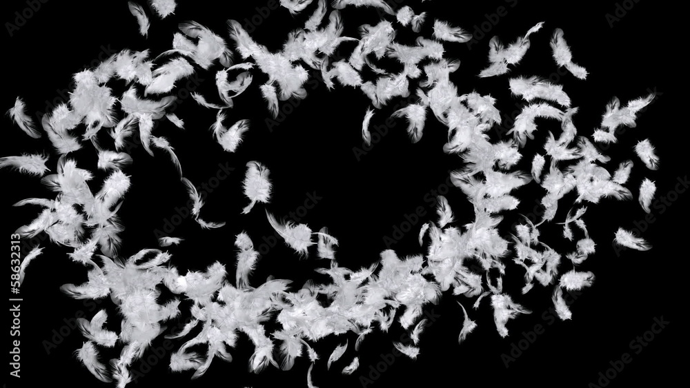 Flying feathers Flying feathers