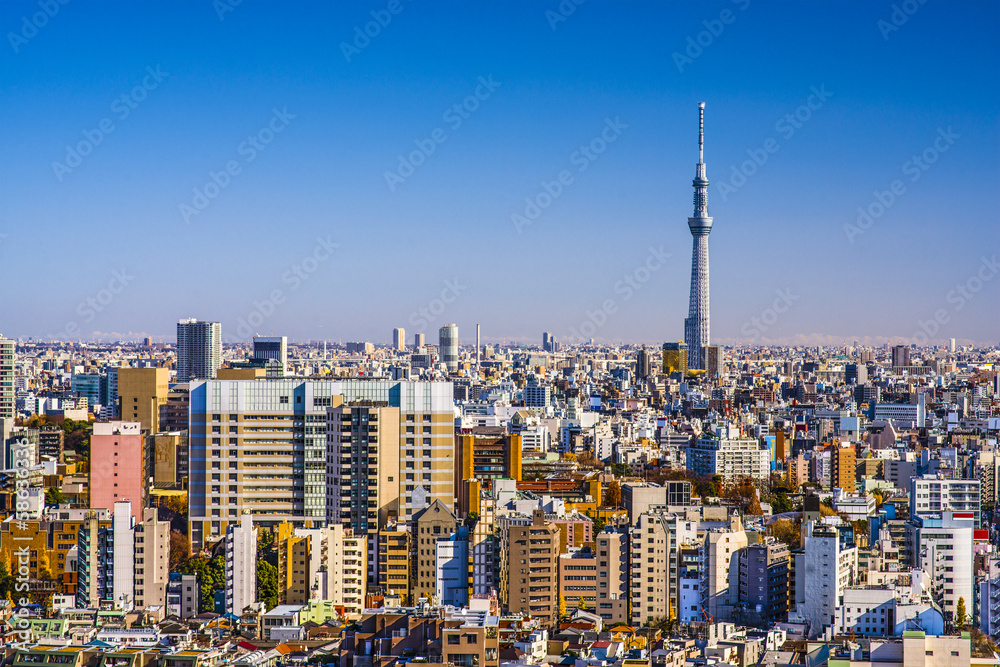 Tokyo Cityscape