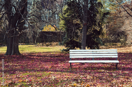 Photography Bench in the park