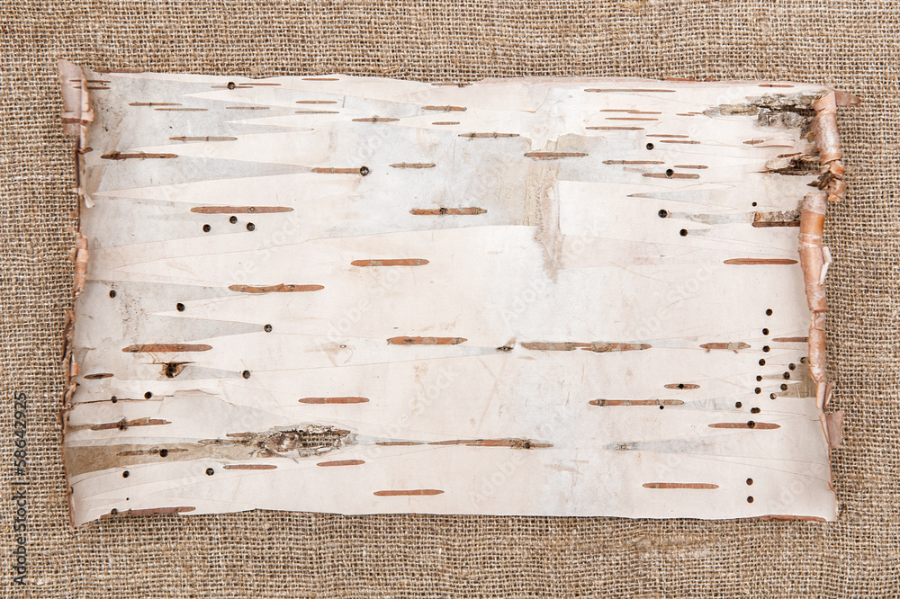 Fototapeta premium Birch bark on burlap background