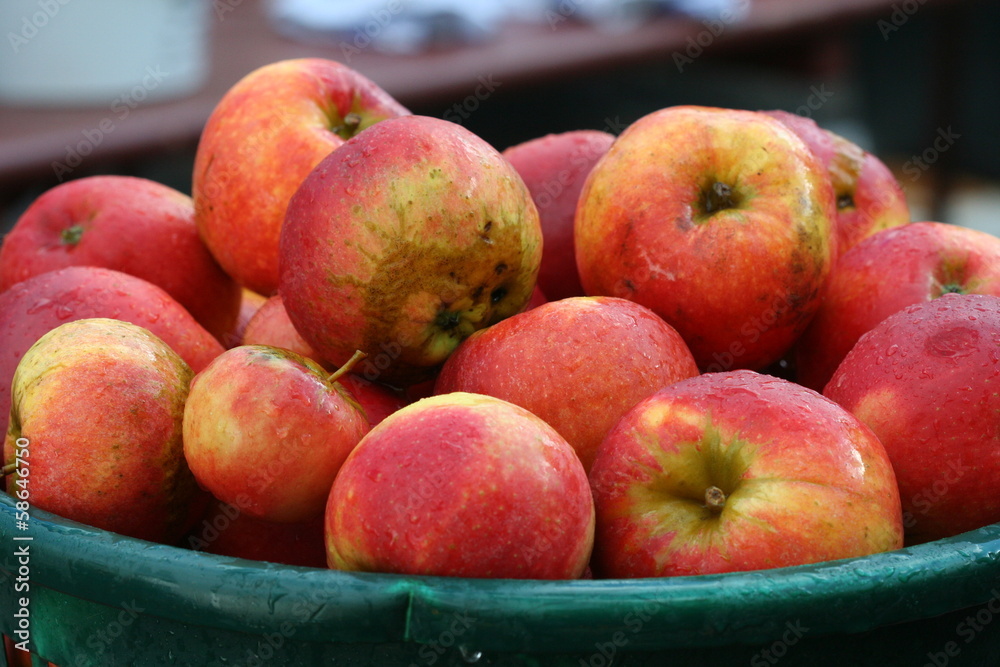 Apples Apples