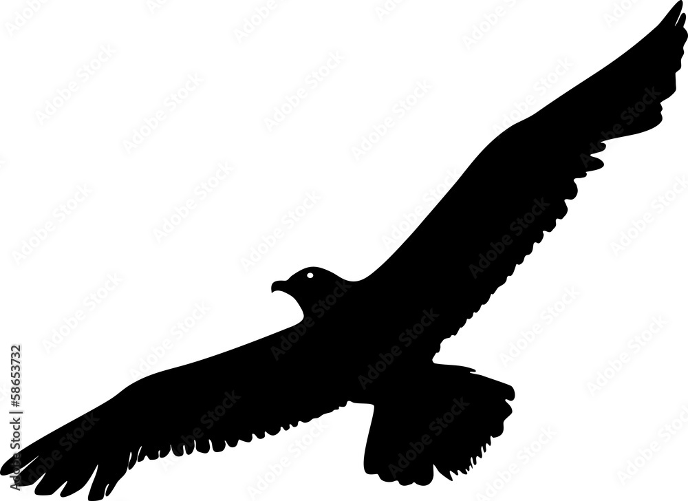 Naklejka premium Silhouette of flying seagull