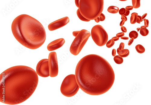 Obraz na plátně isolated blood cells