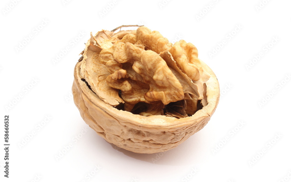 Opened brown and fresh walnut on white background