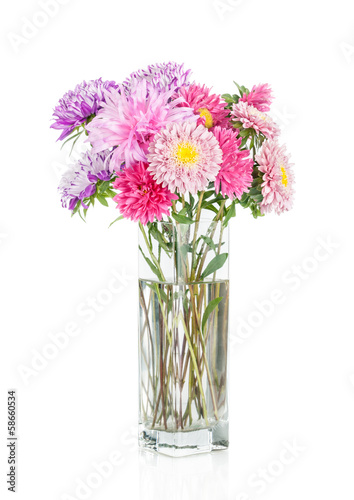 Asters bouquet. Beautiful flowers in vase isolated on white © IULIIA AZAROVA