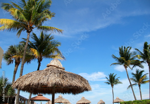 Tiki huts and palm trees