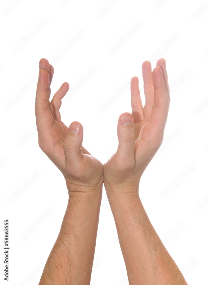 well shaped men's hand holding something isolated over white well shaped men's hand holding something isolated over white