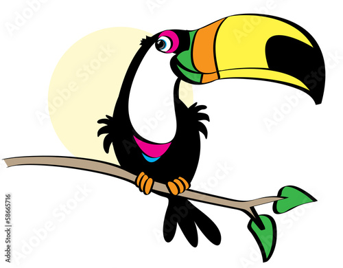 Toucan