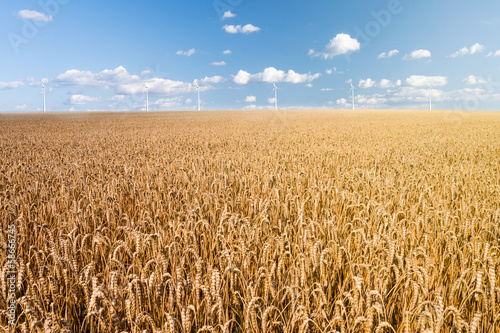 wheat field wind generator
