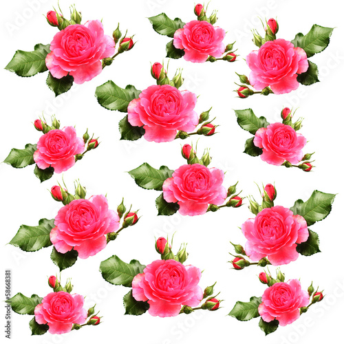 Seamless pattern with watercolor rose © Alina G