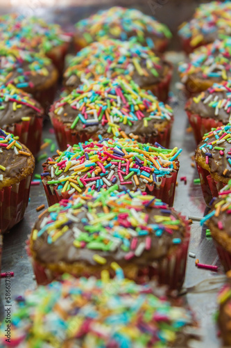 Line of cupcakes with sprinkles