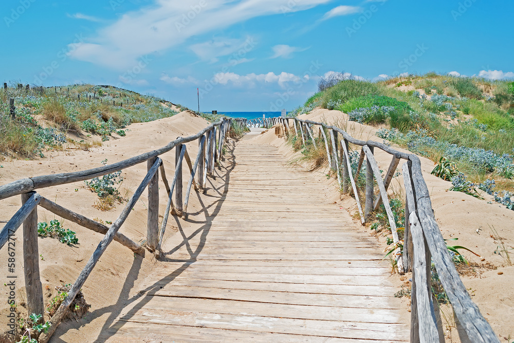 Fototapeta premium wooden path by the shore