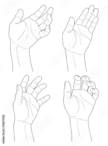 Adult man hand to hold something