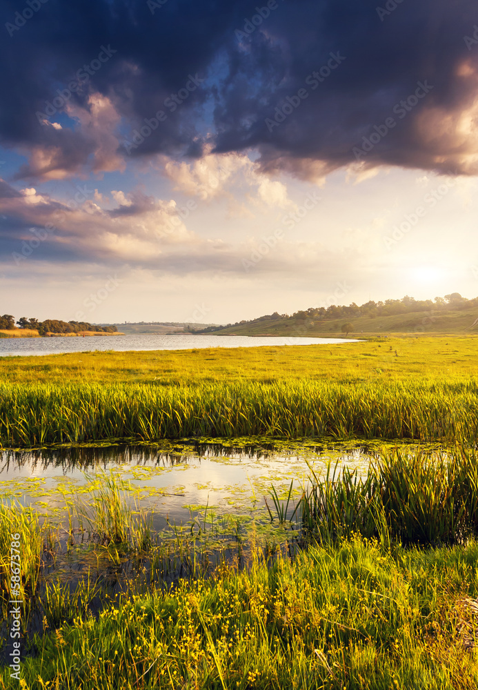 Fototapeta premium river