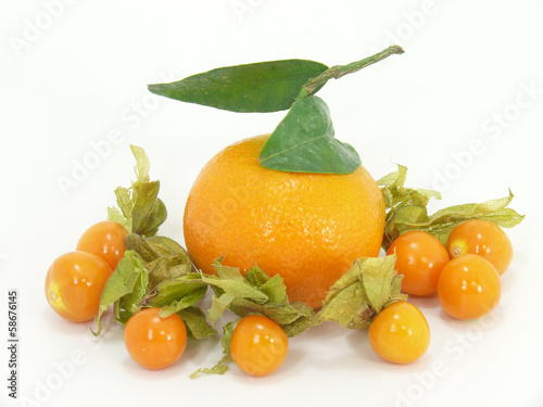 mandarine und photo