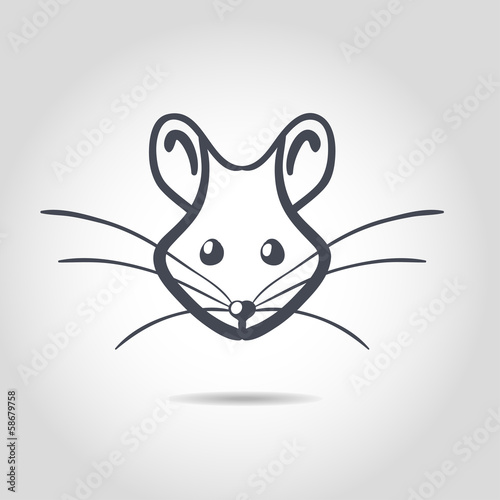 Vector image of an rat on a white background
