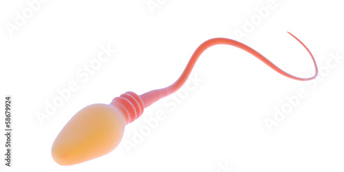 Foto 3d illustration of a sperm or male gamete