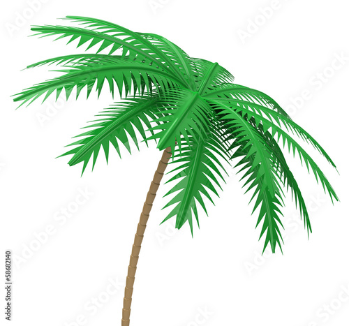 Die Palme