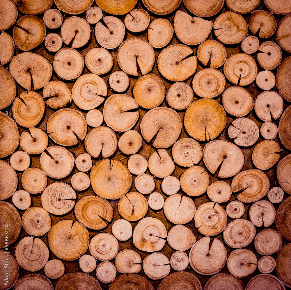 Cross Section View of Decorative Cutting wood Cross Section View of Decorative Cutting wood