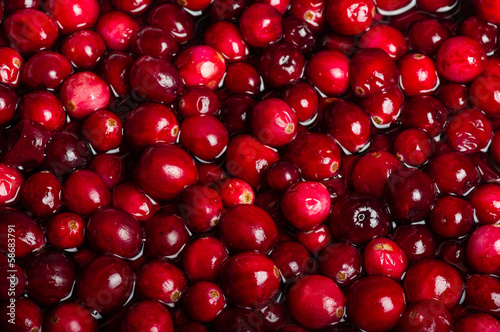 Red cranberries in sauce pot photo