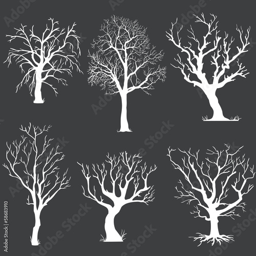 vector set of white bare trees silhouettes