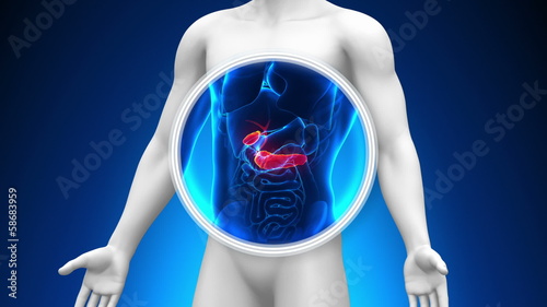 Medical X-Ray Scan - Gallbladder