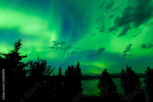 Intense green northern lights over boreal forest