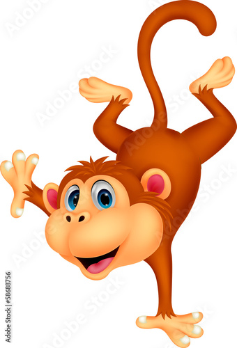 Cute monkey standing in its hand