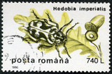 stamp printed by Romania, show Hedobia imperialis