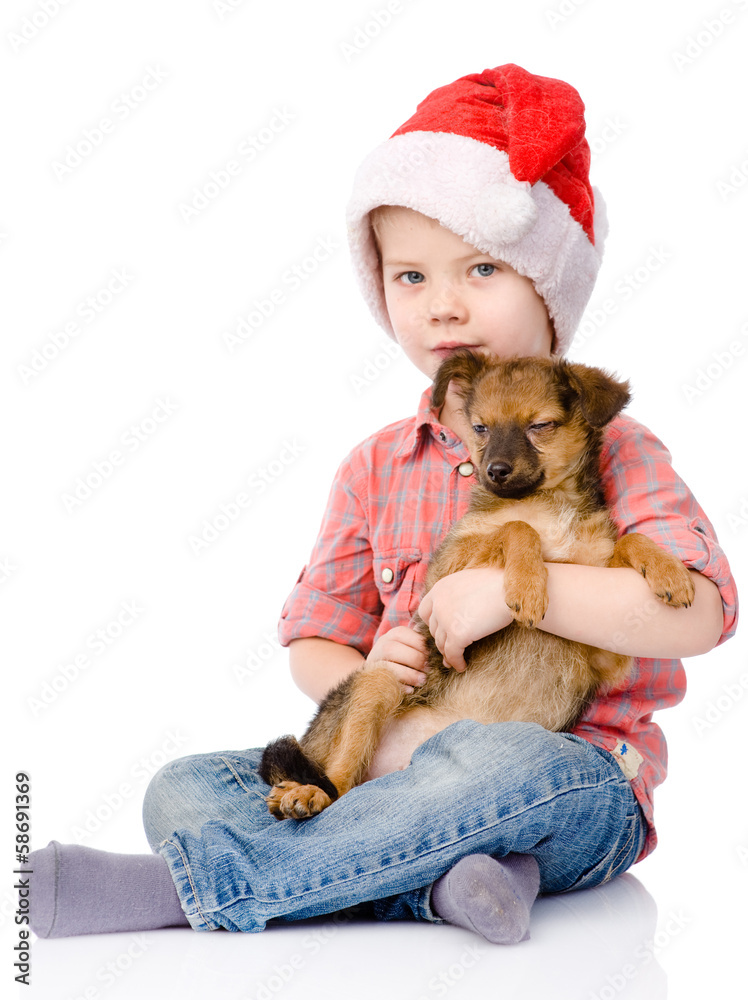 Boy with Santa hat is holding a puppy. isolated on white backgro Boy with Santa hat is holding a puppy. isolated on white backgro