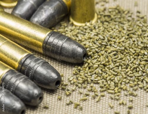 .22 caliber Long rifle  with smokeless powder on canwas