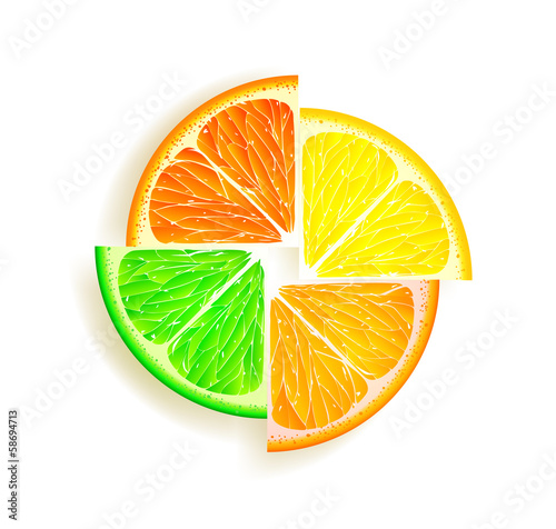 lemon, orange, lime and grapefruit