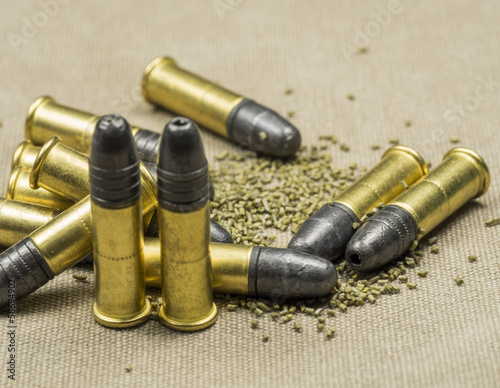 .22 caliber Long rifle  with smokeless powder on canwas