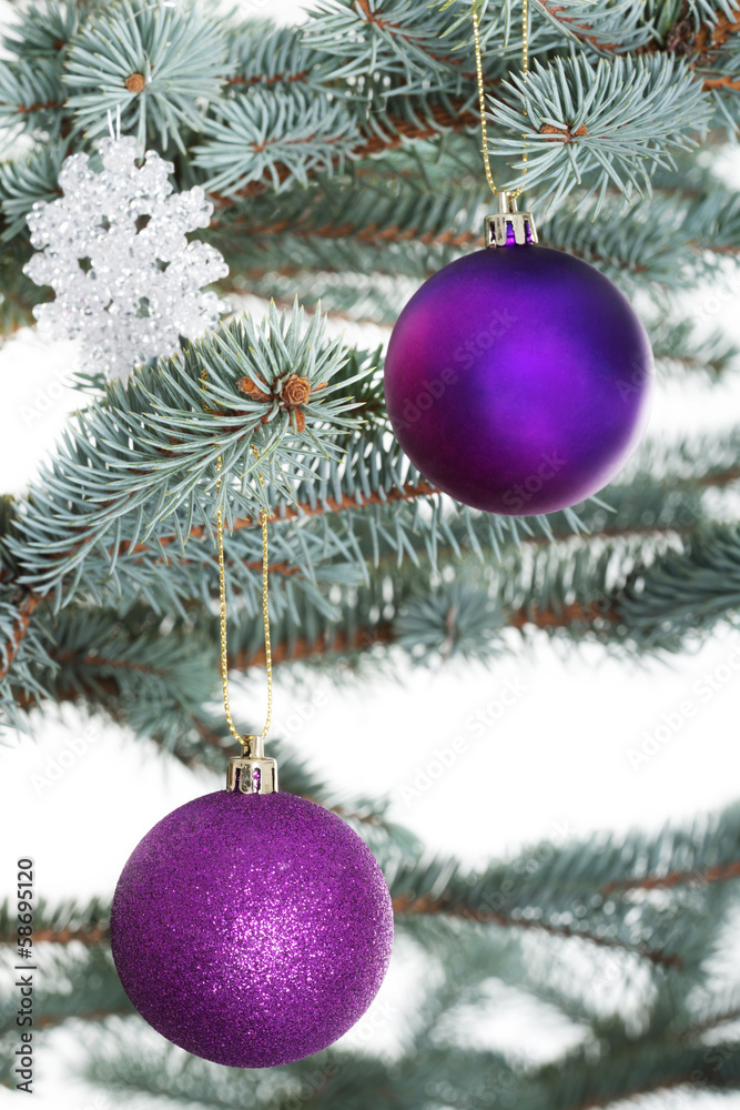 Christmas balls handing on a tree. Christmas balls handing on a tree.