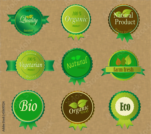 Set of Fresh Organic Labels and Elements