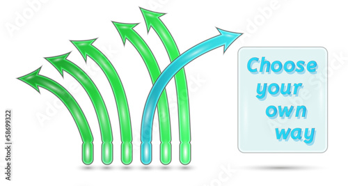 choose your own way
