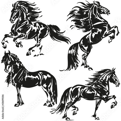 friesians