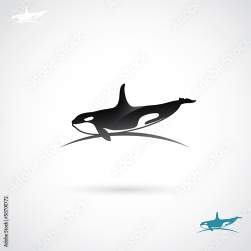 Orca label