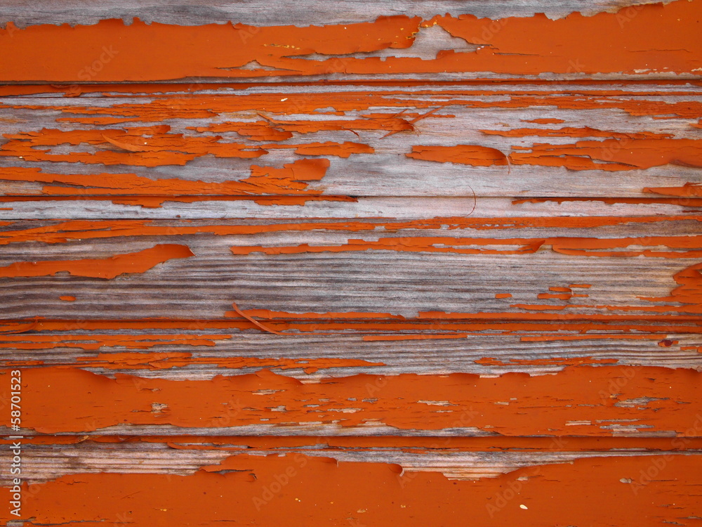 Obraz premium Wood texture