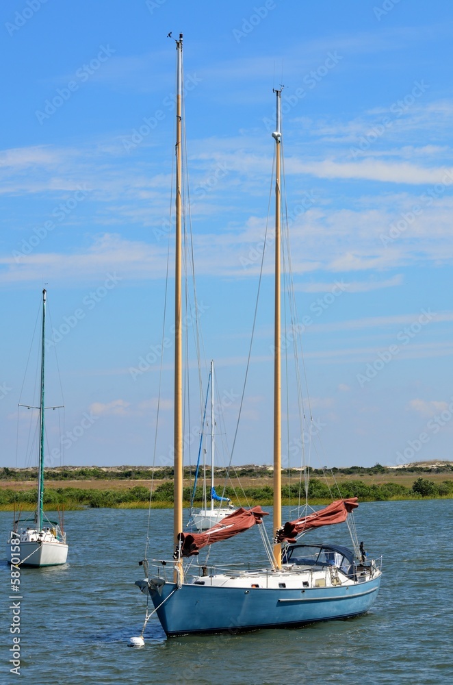 Moored Sailboats