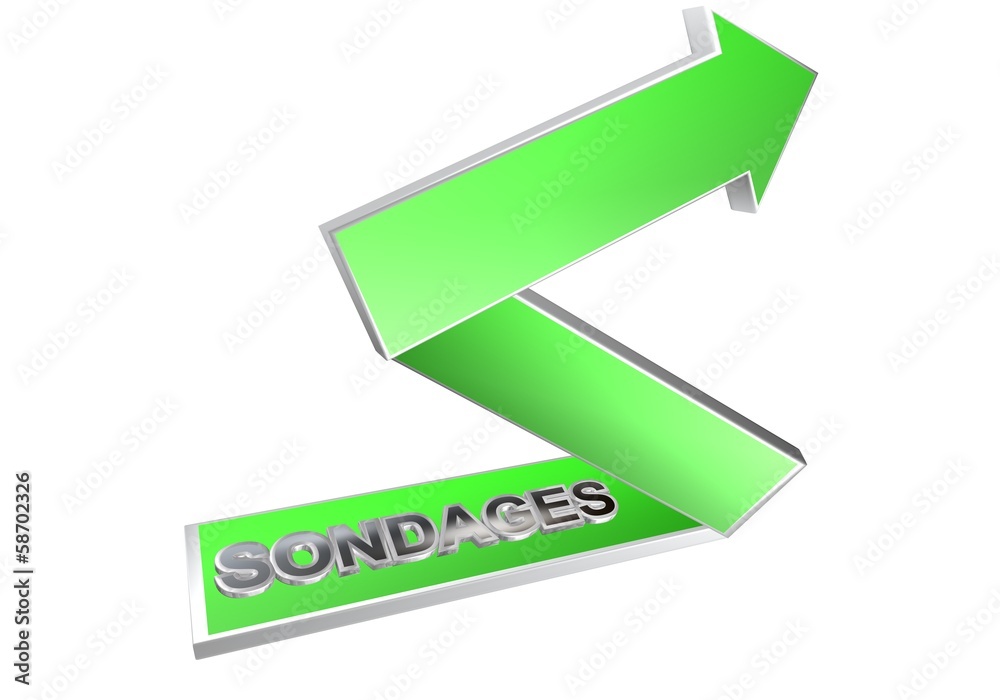 sondages fleche verte 3D sondages fleche verte 3D