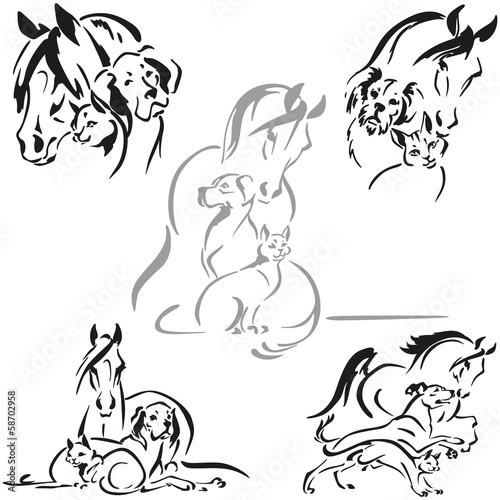 horse dog and cat