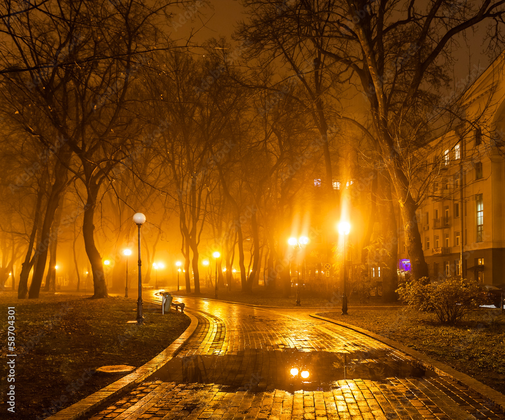 foggy evening in the park