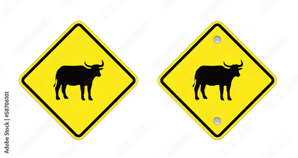 warning sign traffic sign buffalo cross road on white background warning sign traffic sign buffalo cross road on white background