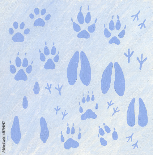 Animals footprints in the snow