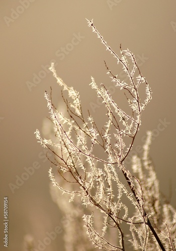 zima szron świt © JoannaTkaczuk